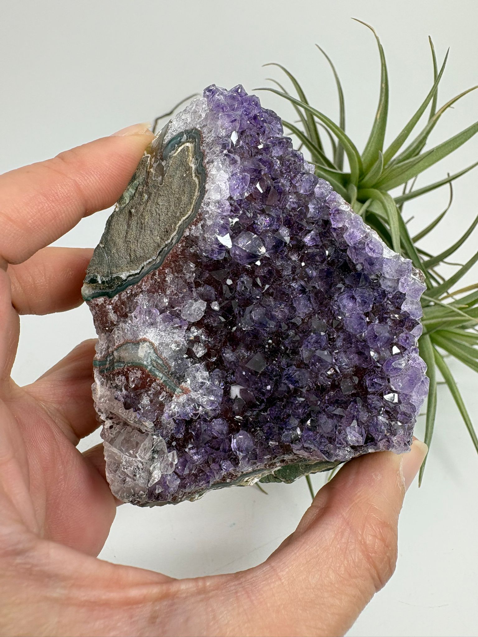 Drusa de amatista natural - cristales violetas brillantes