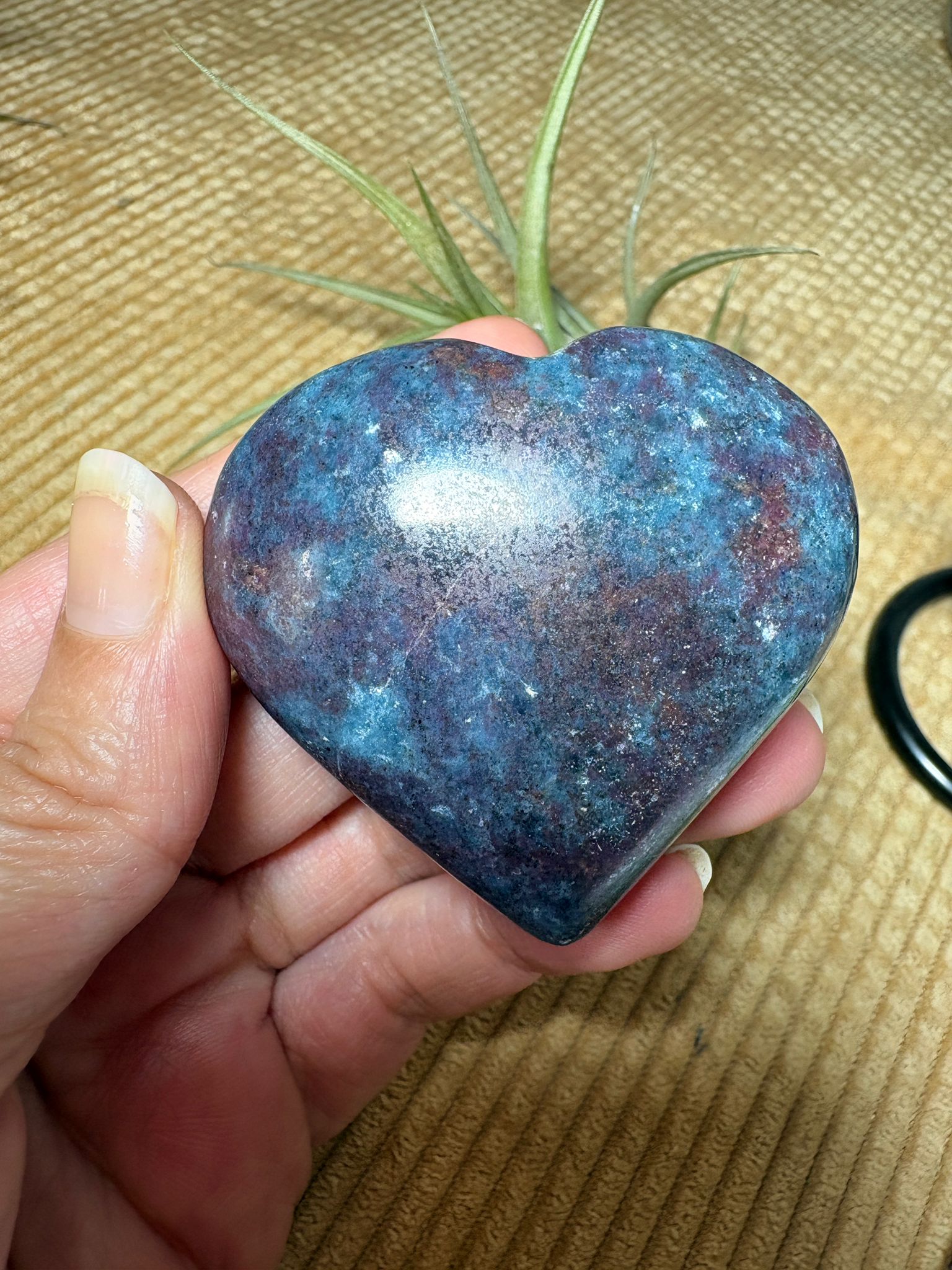 Corazón de cianita con rubí uv