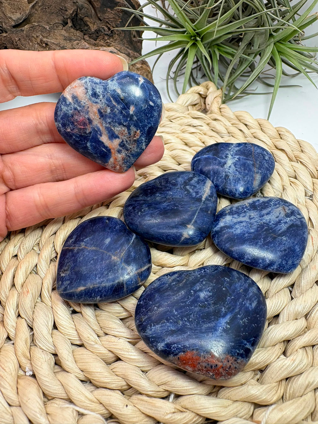 Corazón de sodalita planos y pulidos