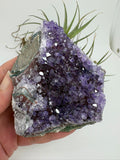 Drusa de amatista natural - cristales violetas brillantes