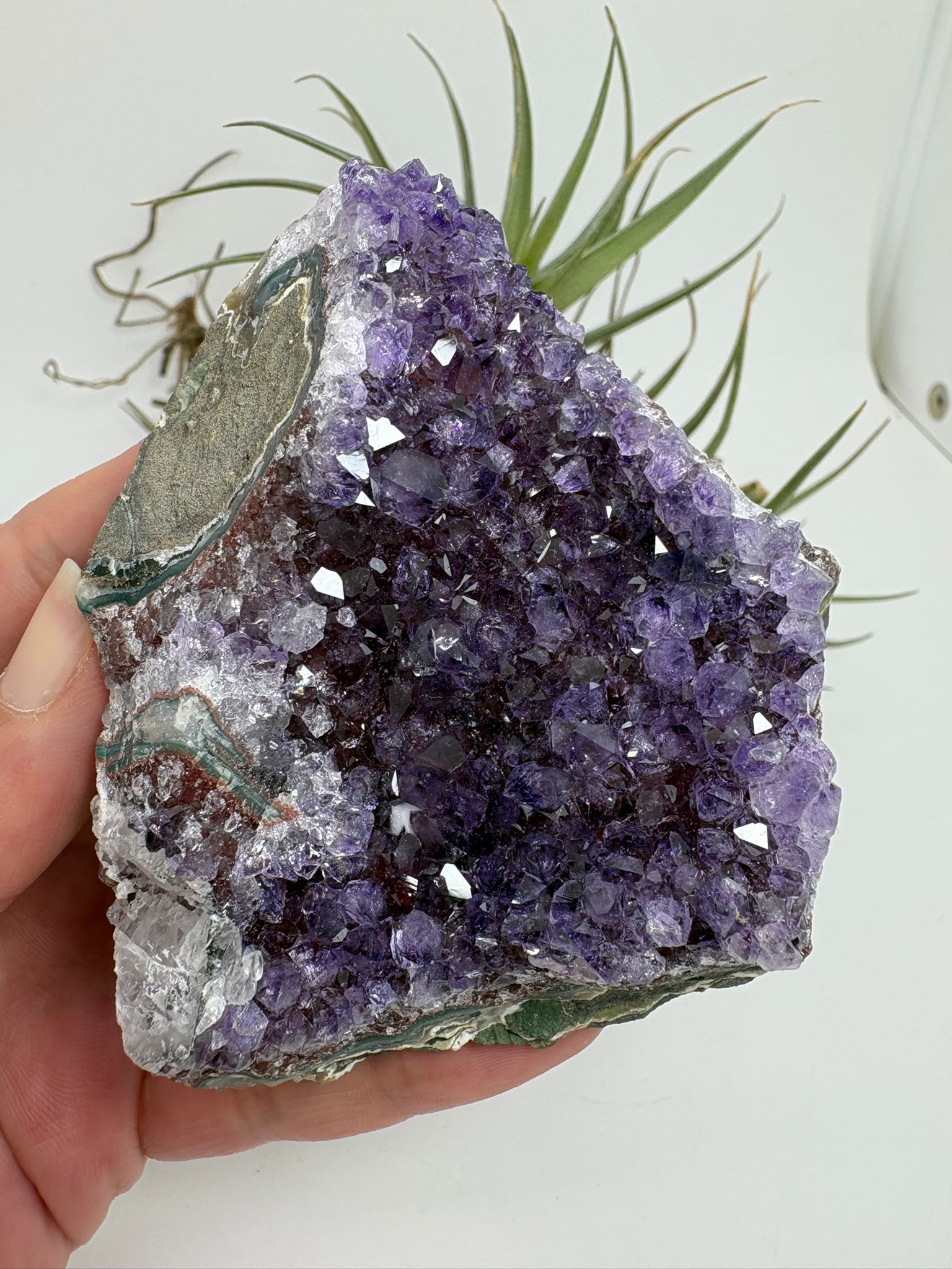 Drusa de amatista natural - cristales violetas brillantes