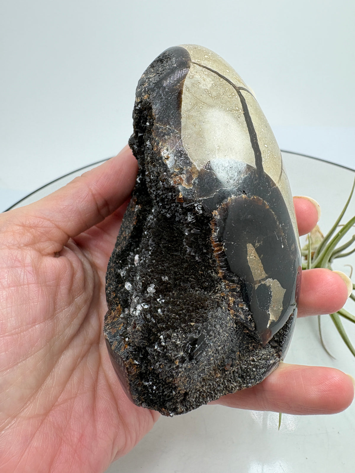 Monolito de septaria negra semi pulido - foto 6