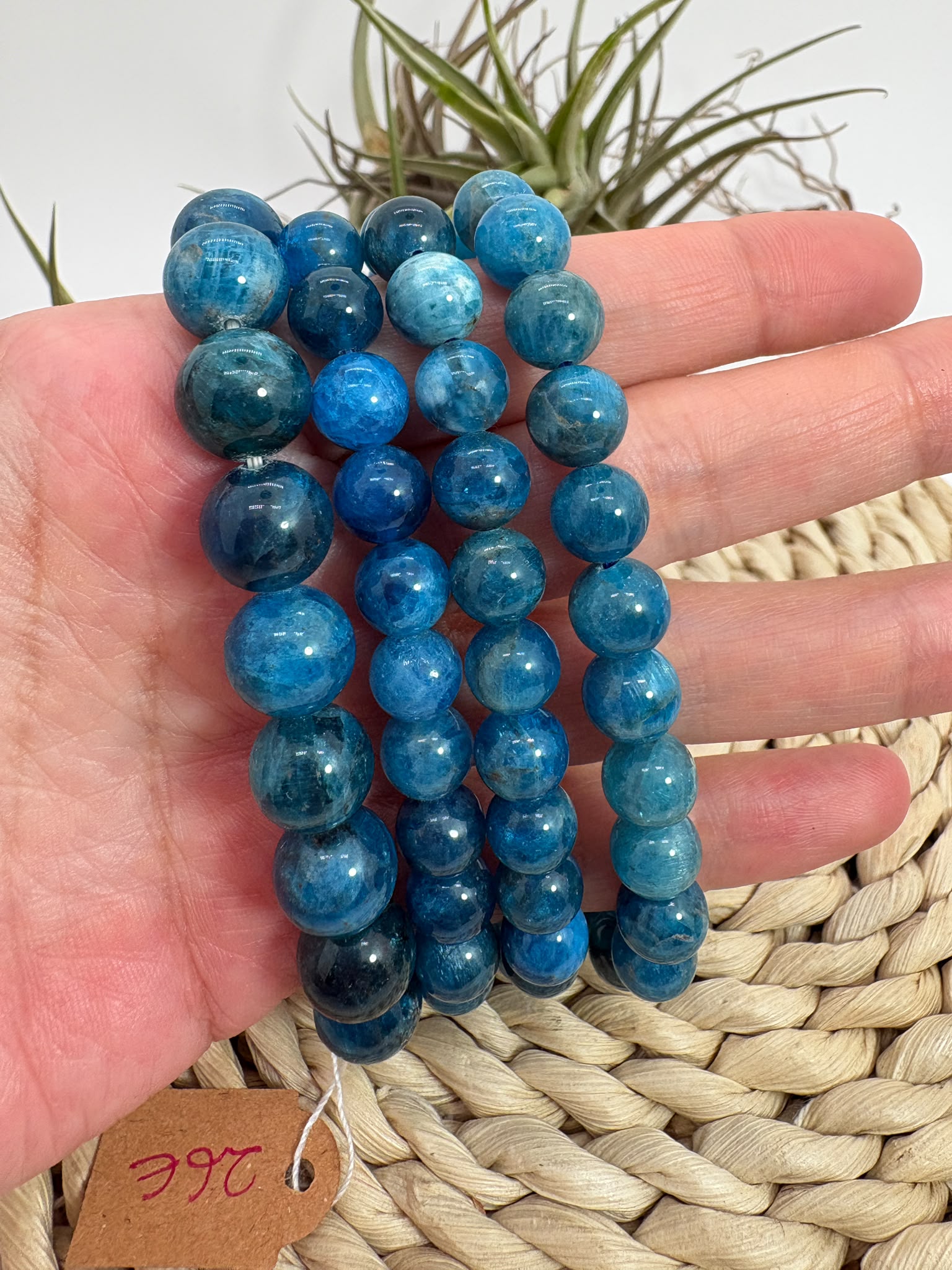 Pulsera de apaptito azul