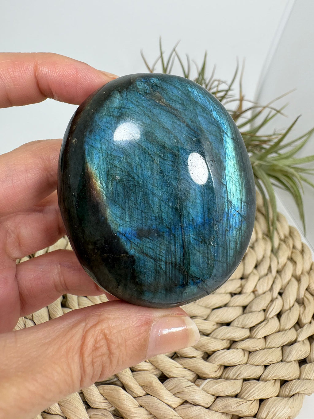Palmstone de labradorita azul