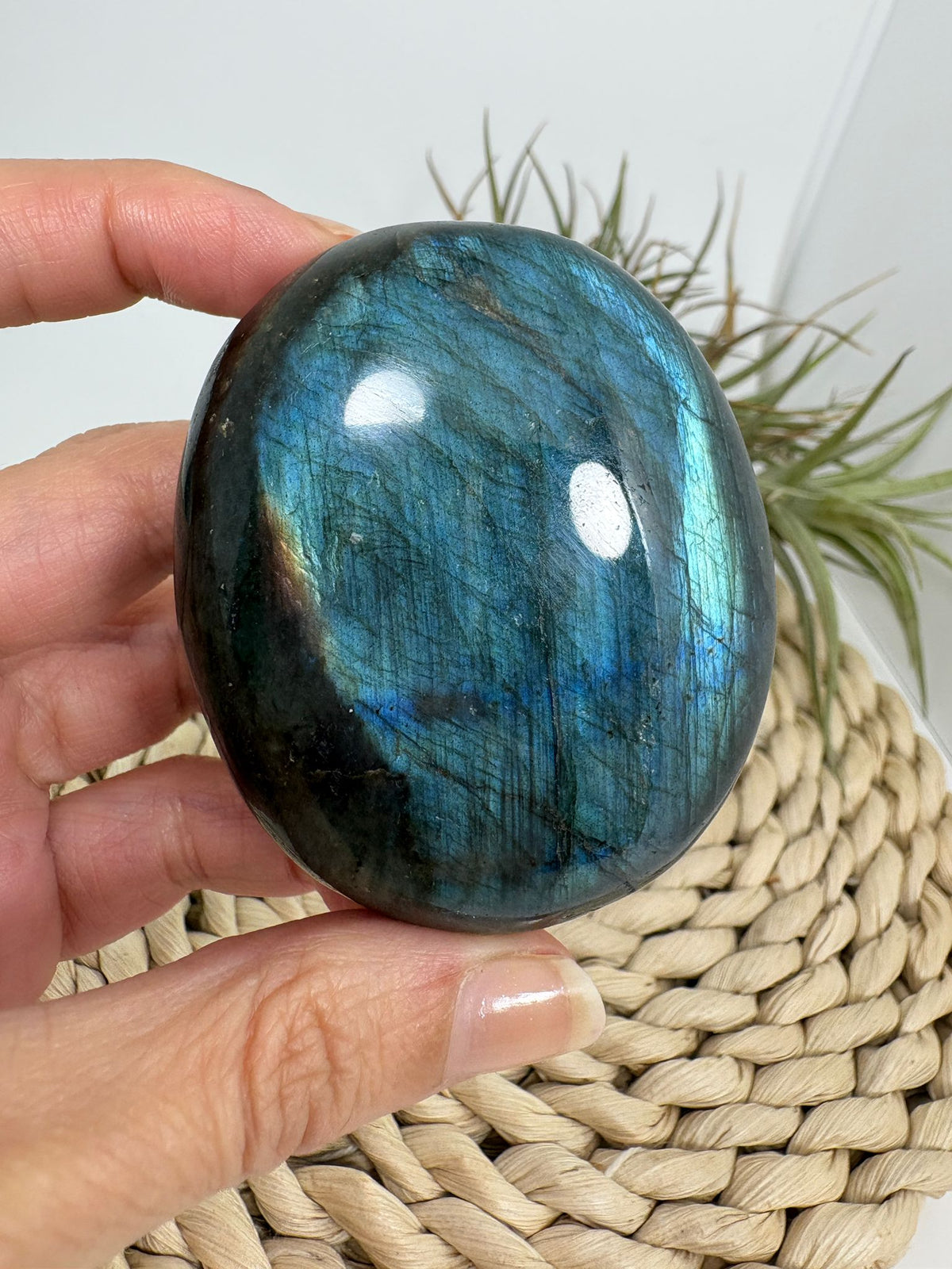 Palmstone de labradorita azul