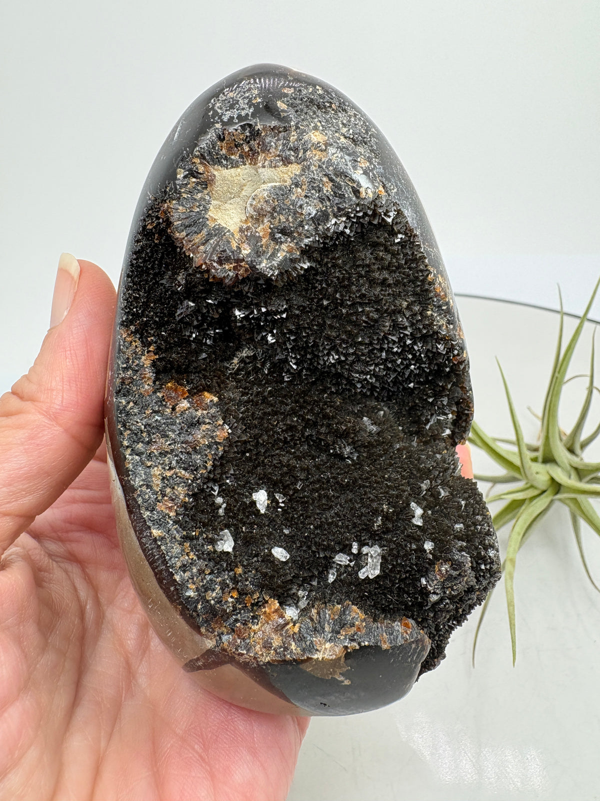 Monolito de septaria negra semi pulido - foto 8