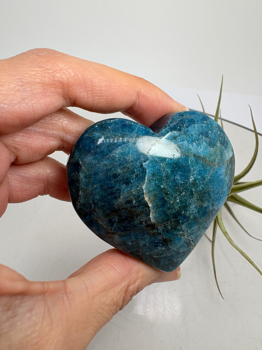 Corazón de apatito azul - foto 3
