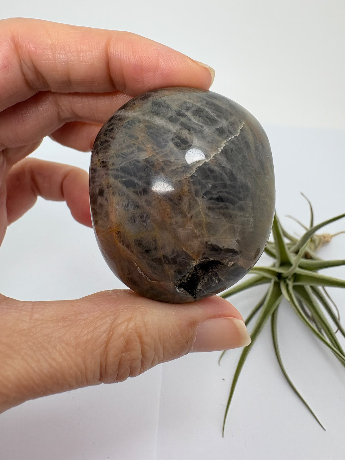 Palmstone de adularia negra de Madagascar