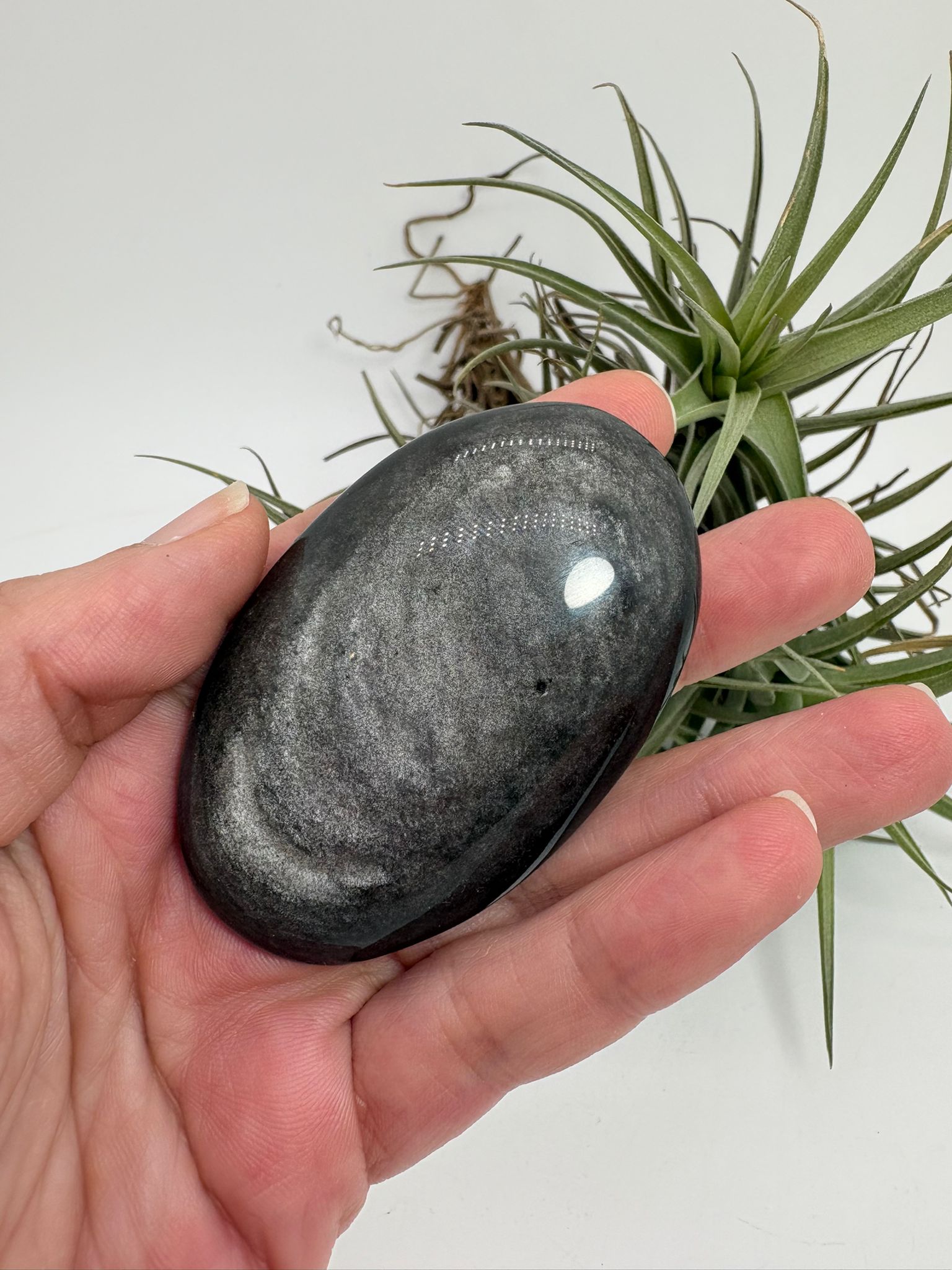 Palmstone obsidiana plateada