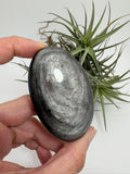 Palmstone obsidiana plateada