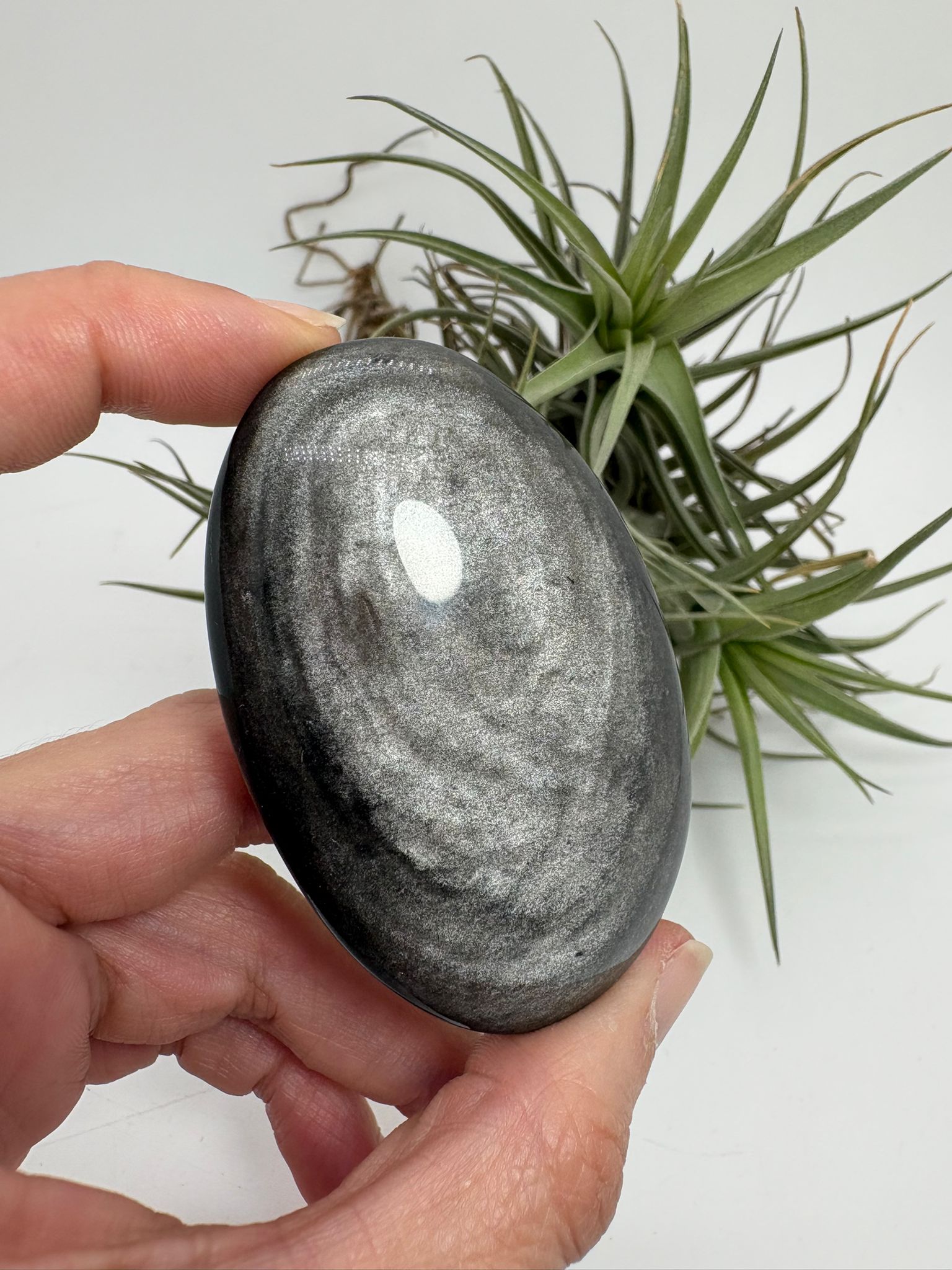 Palmstone obsidiana plateada