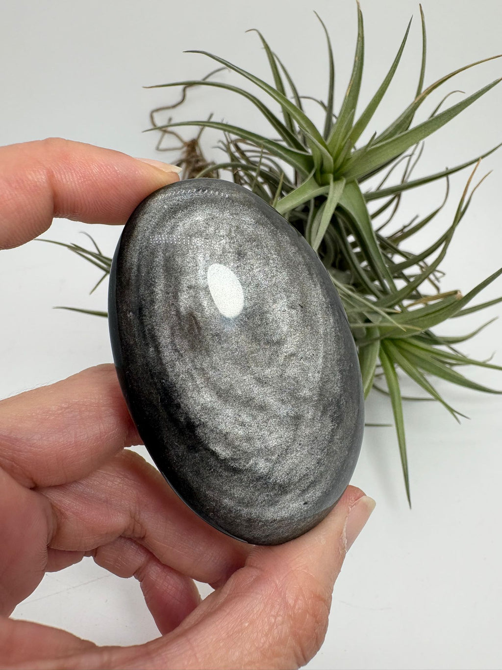 Palmstone obsidiana plateada