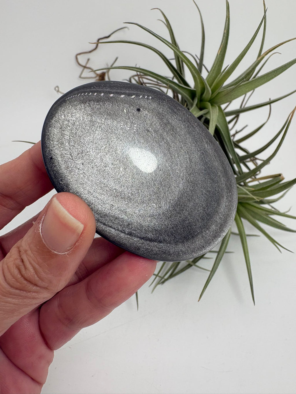 Palmstone obsidiana plateada