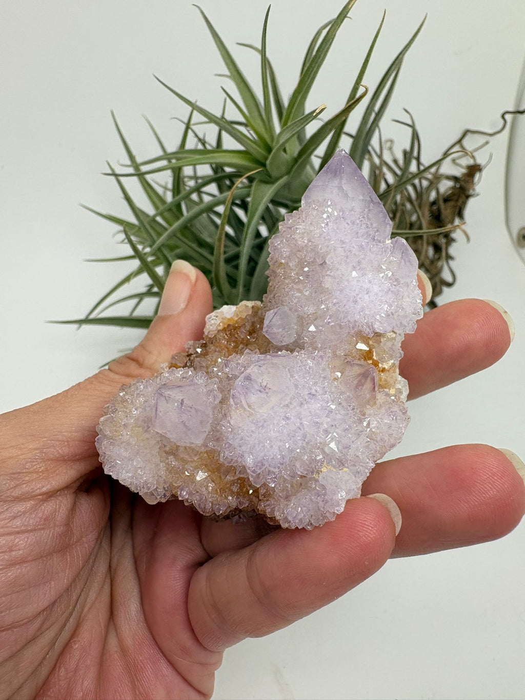 Amatista spirit o amatista cactus de Sudáfrica