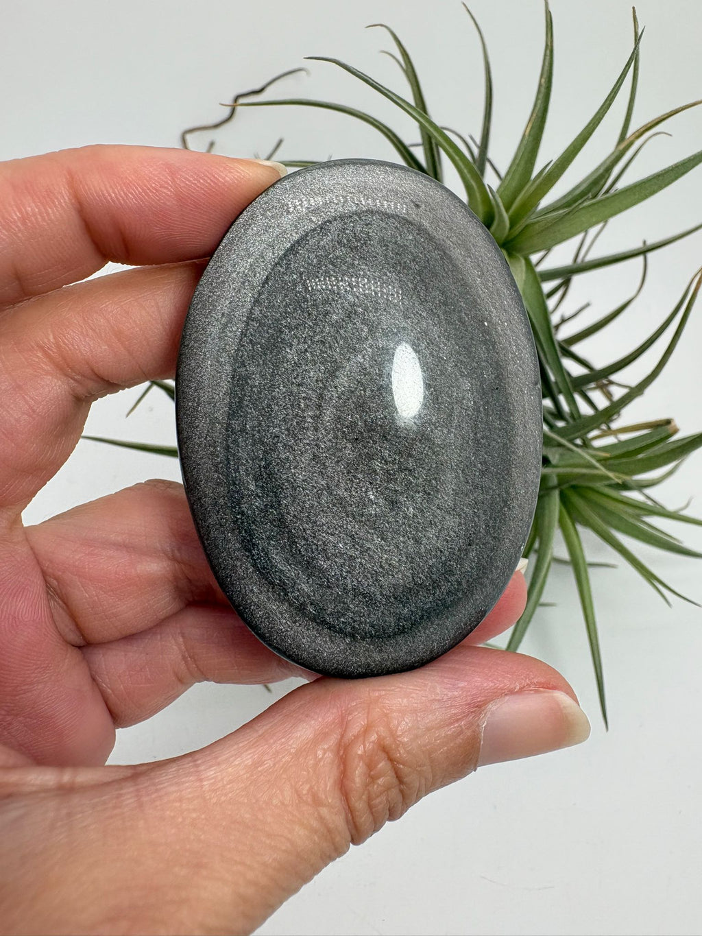 Palmstone obsidiana plateada