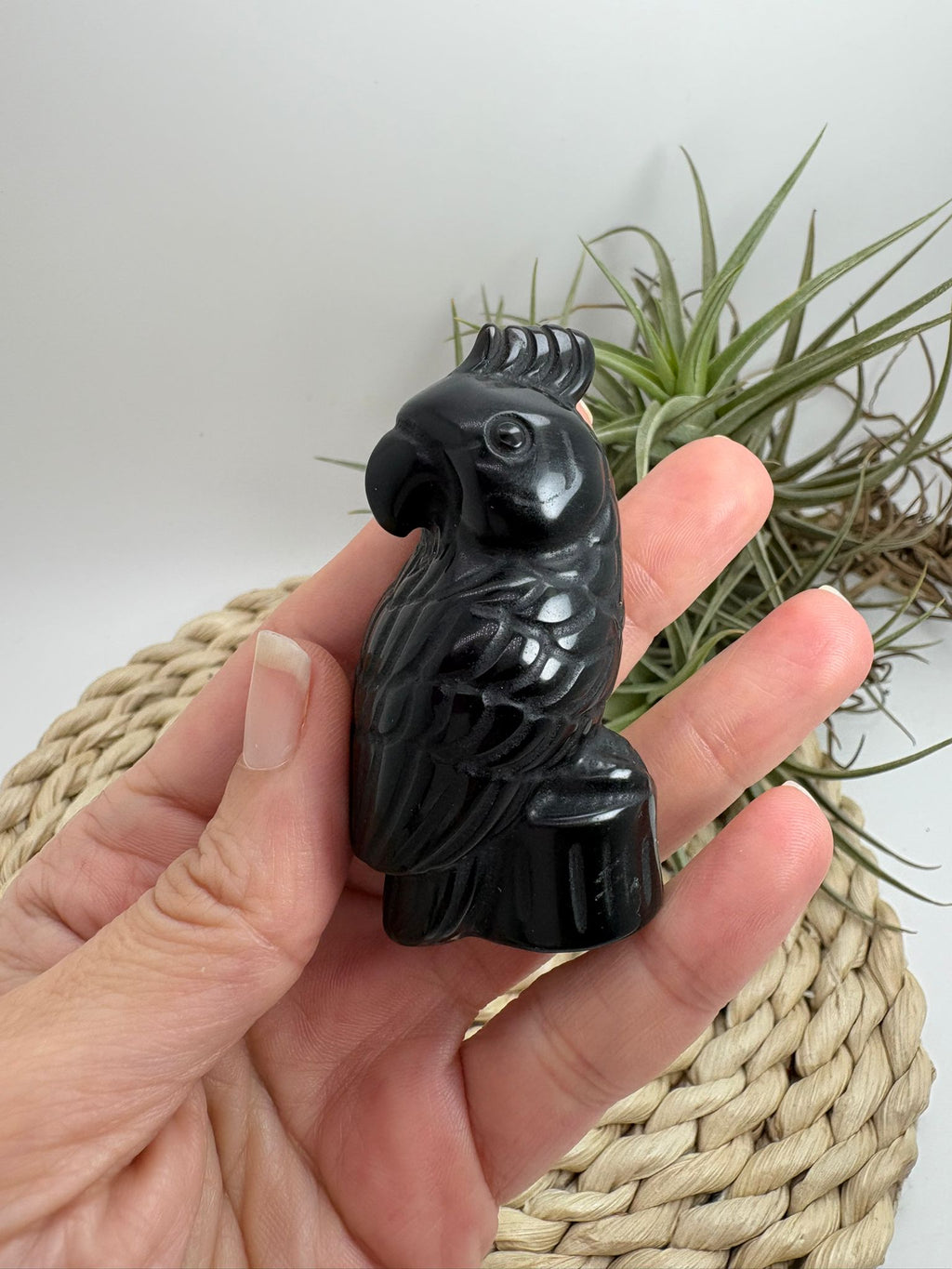 Loro de obsidiana negra tallado a mano
