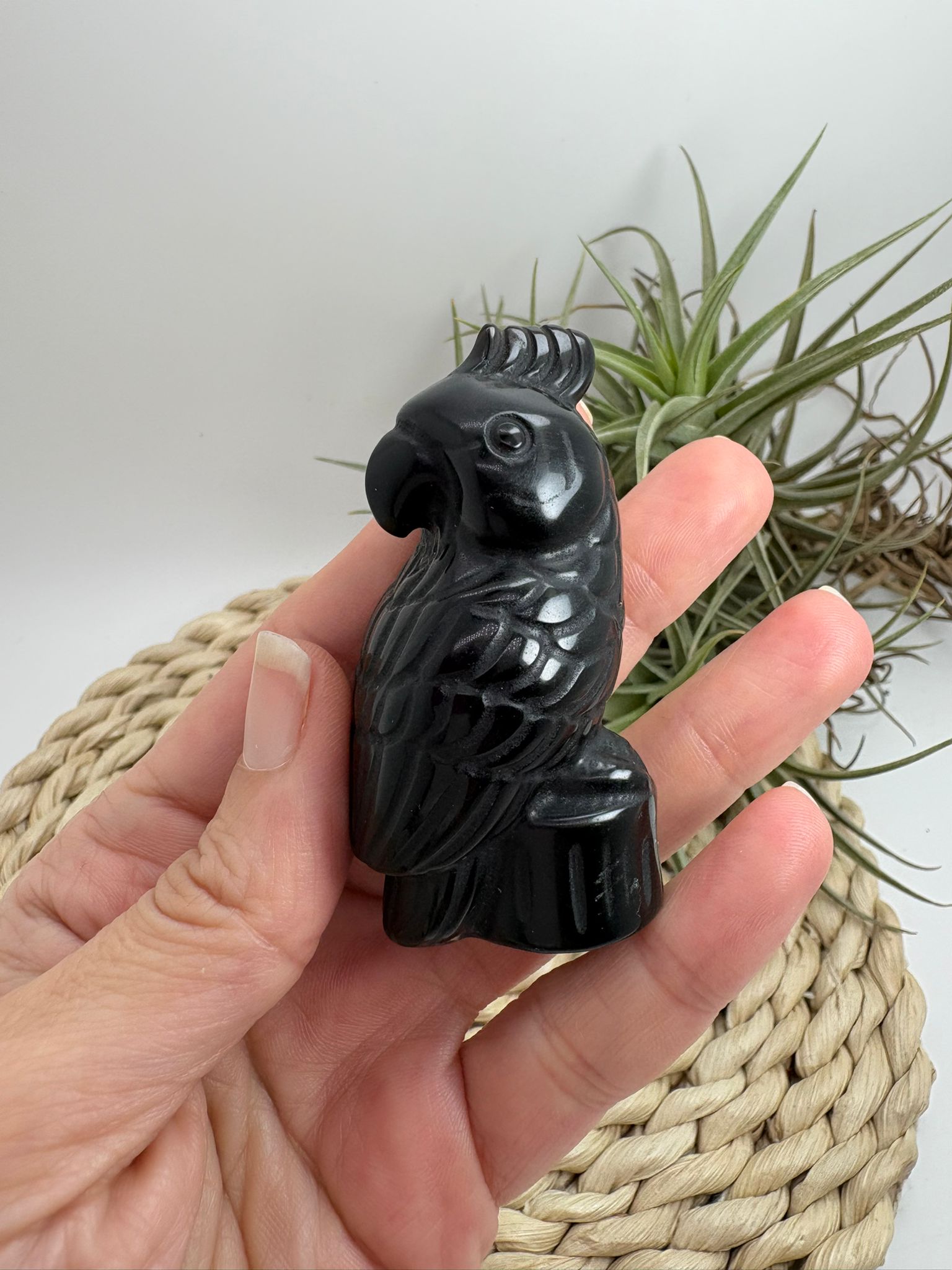 Loro de obsidiana negra tallado a mano