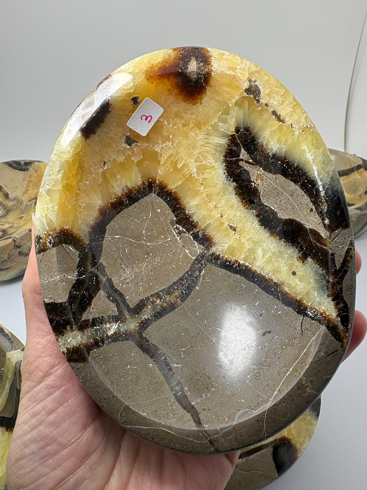 Cuencos de septaria natural pulidos - foto 7