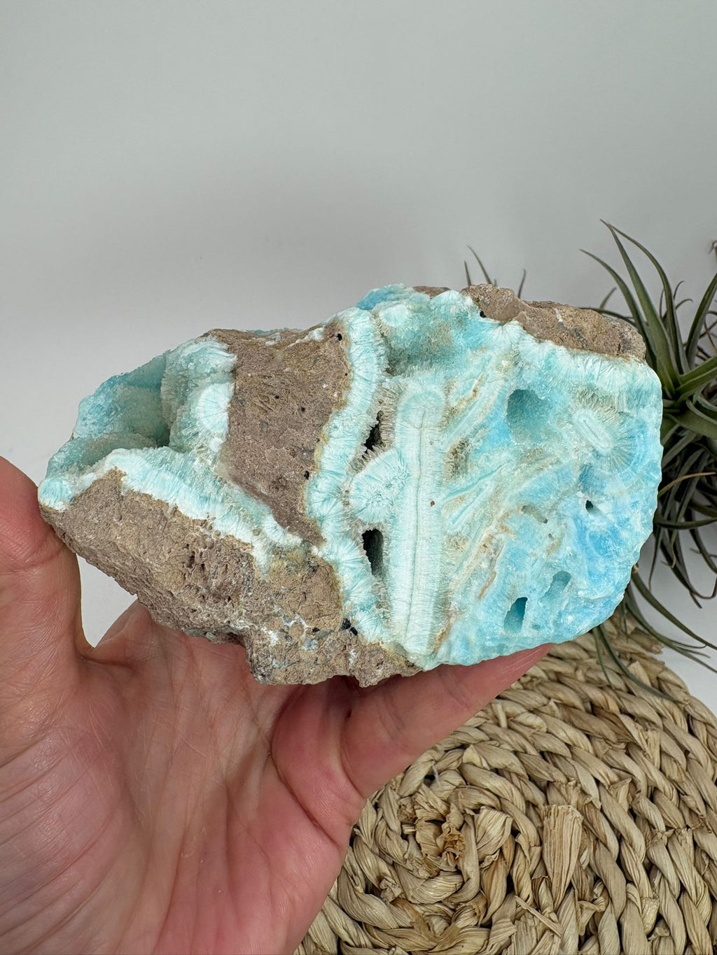 Aragonito azul de Pakistan, mineral de colección