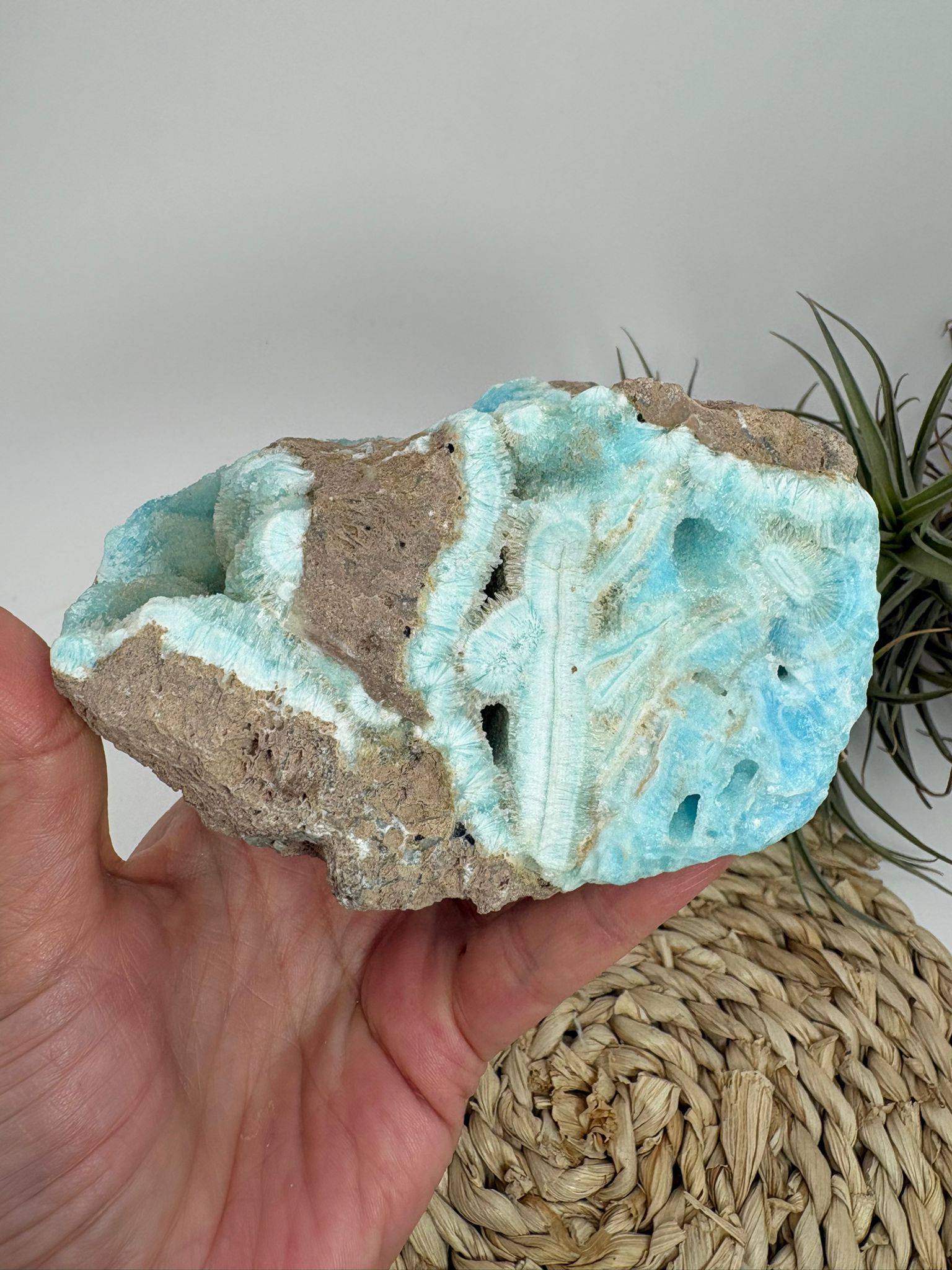 Aragonito azul de Pakistan, mineral de colección
