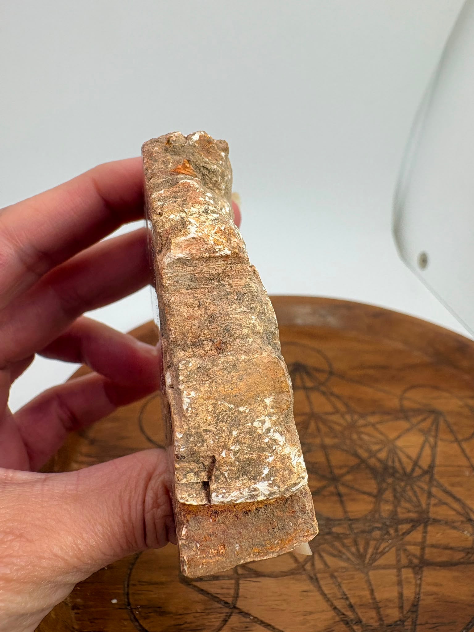 Xilópalo Natural Pulido – Madera Fosilizada