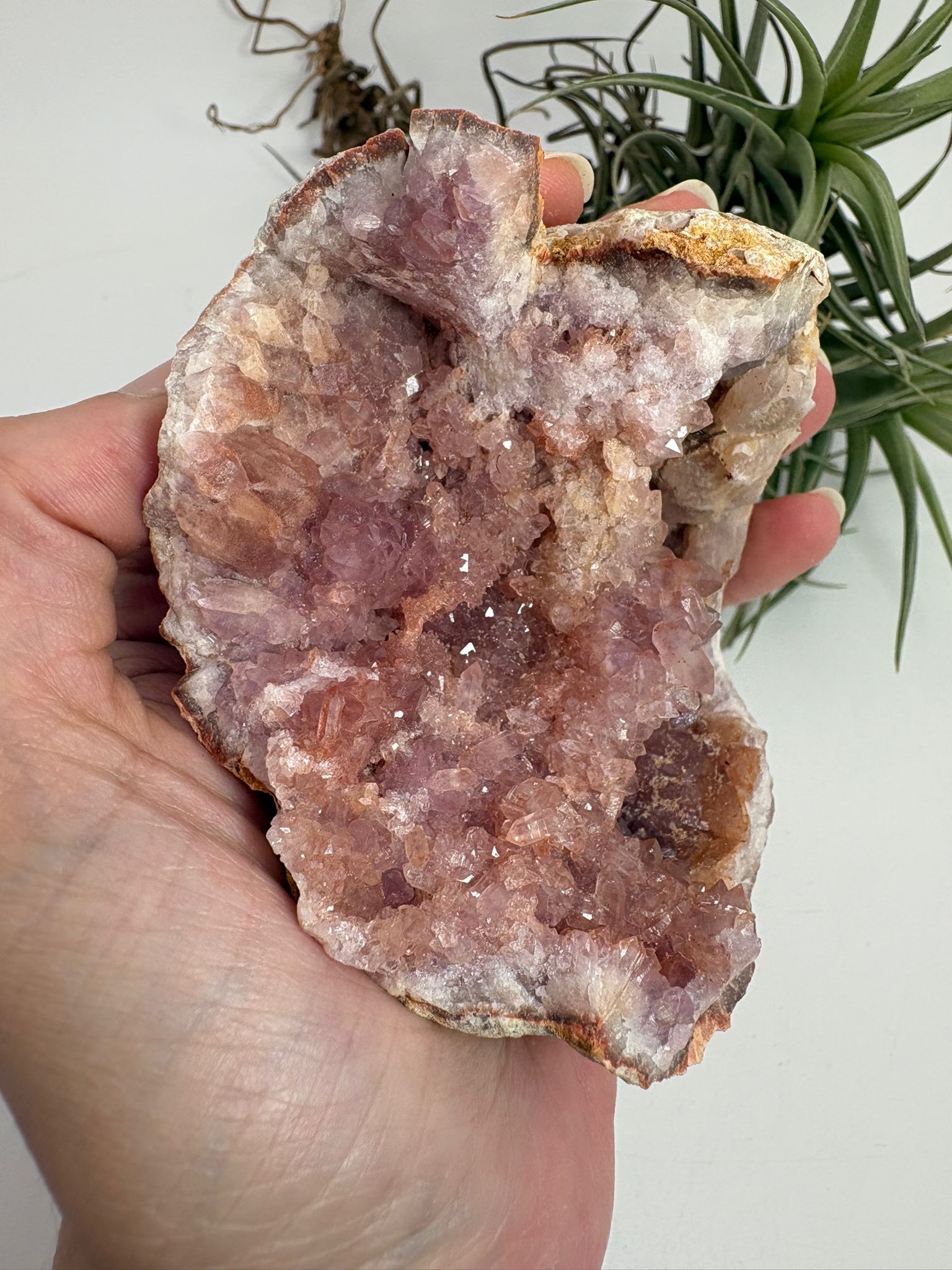 Geoda de amatista rosa de Argentina
