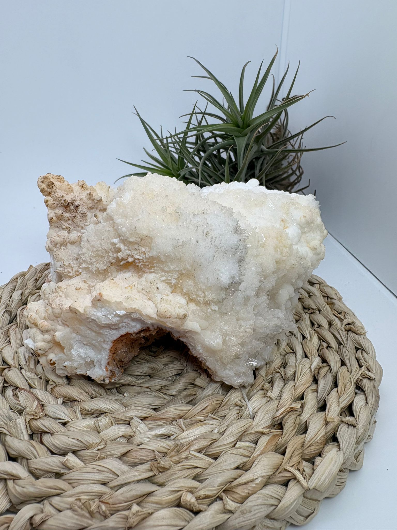 Aragonito coraloide natural para colección