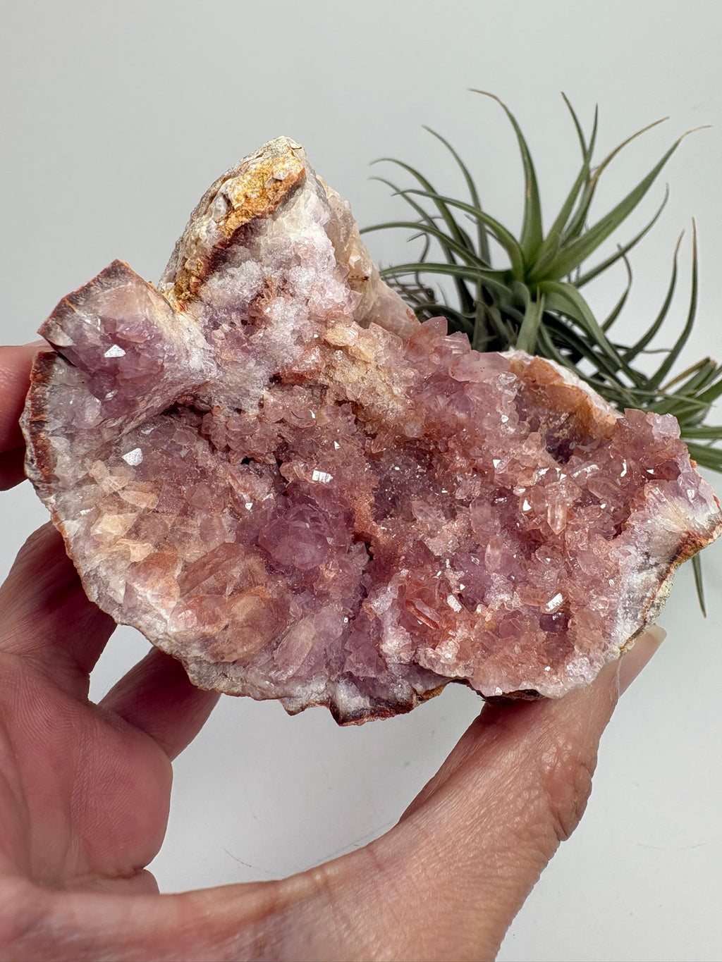 Geoda de amatista rosa de Argentina