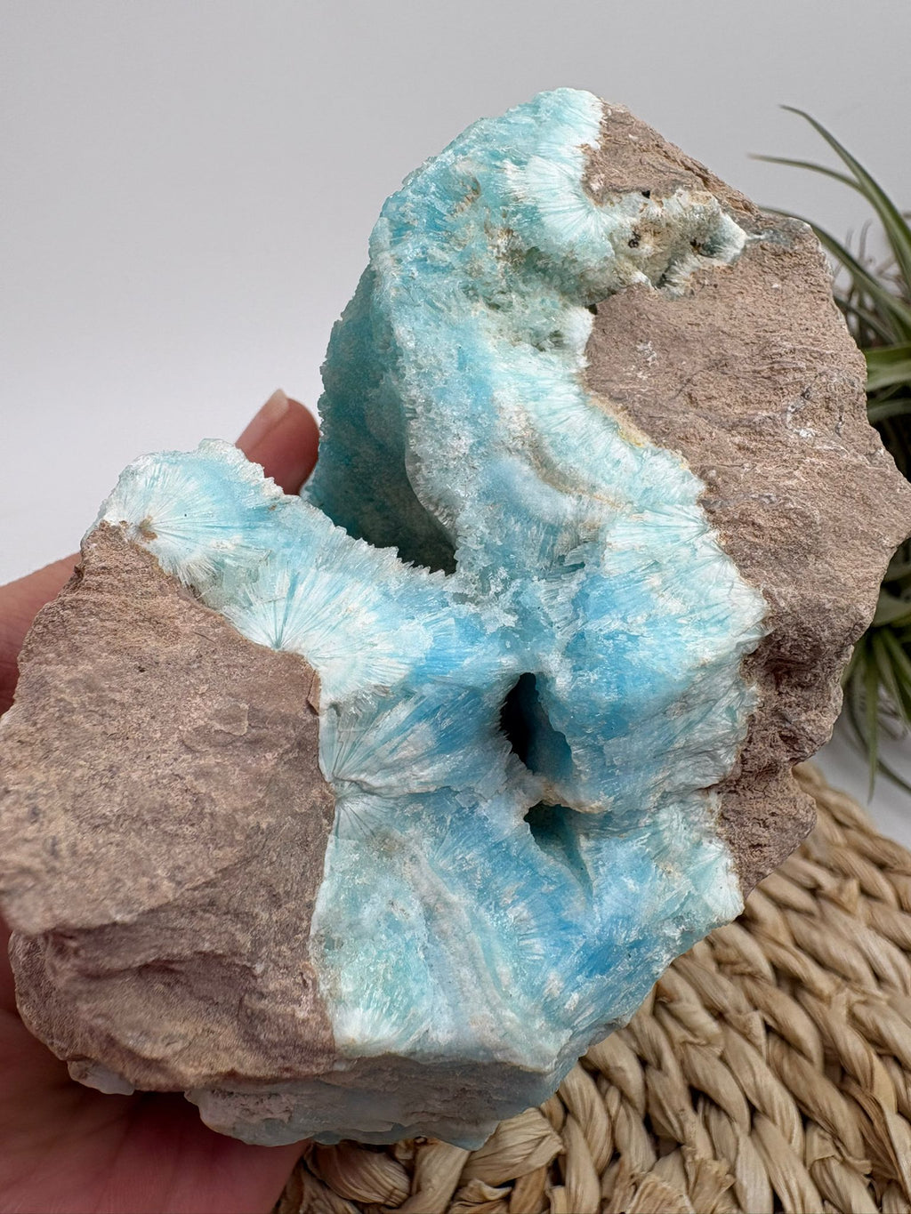Aragonito azul de Pakistan, mineral de colección