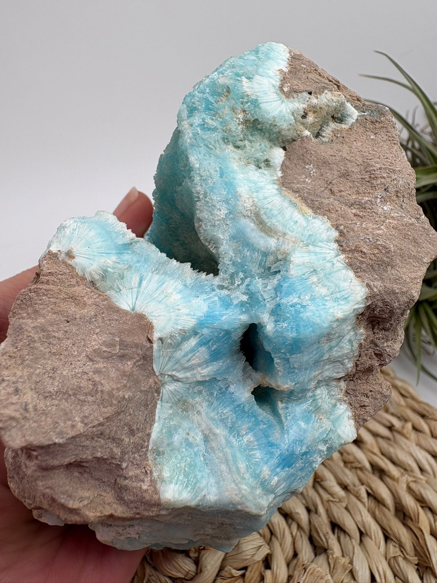 Aragonito azul de Pakistan, mineral de colección