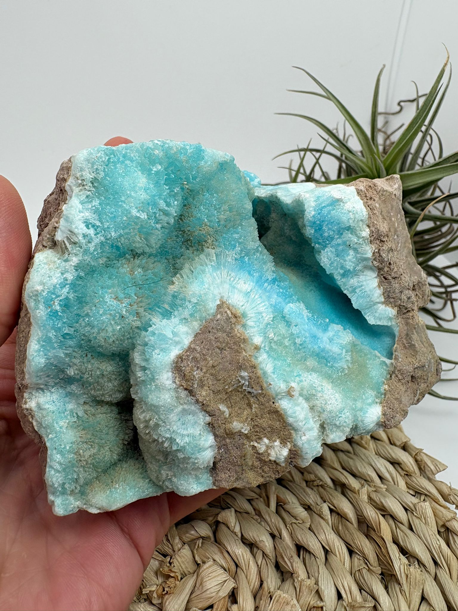 Aragonito azul de Pakistan, mineral de colección