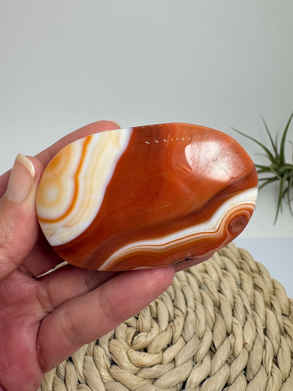 Palmstone de ágata cornalina pulida - foto 4