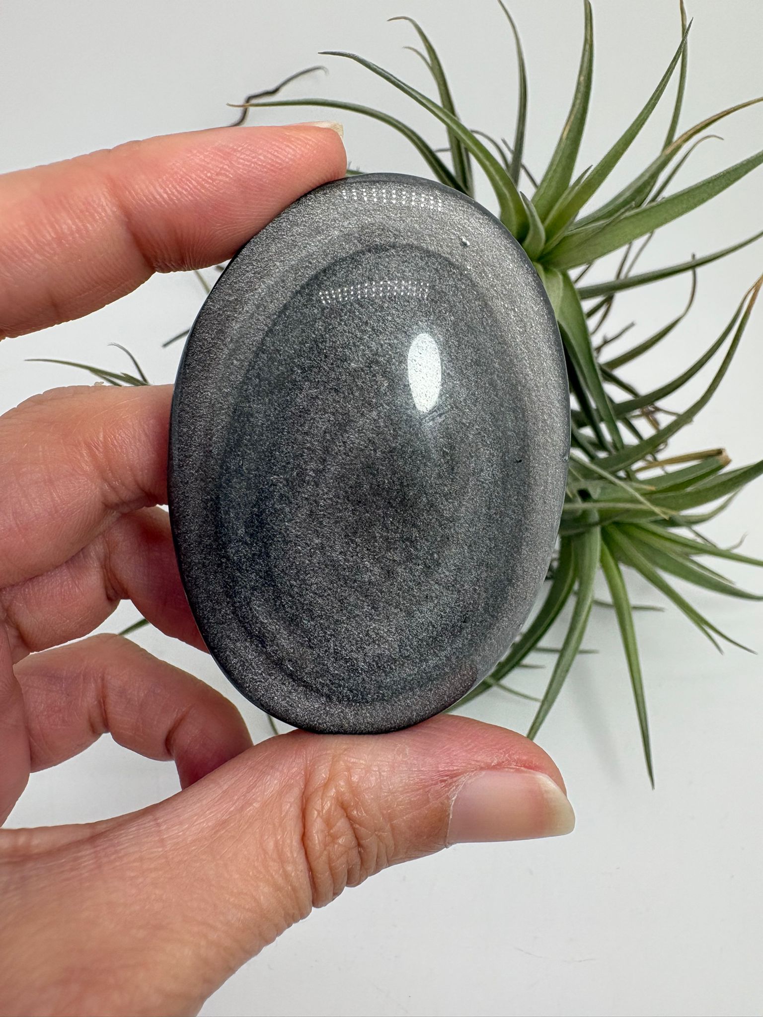 Palmstone obsidiana plateada