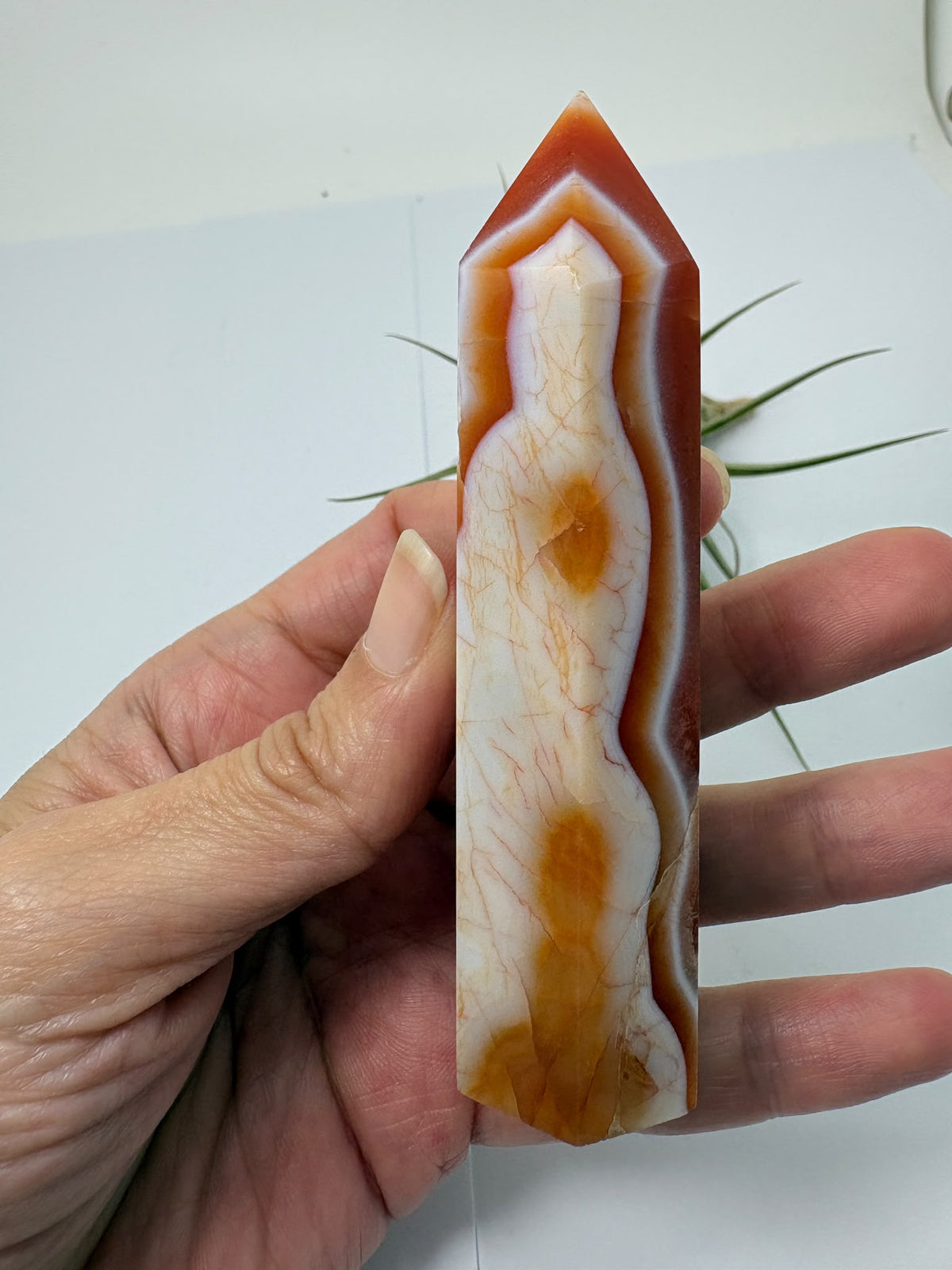 Puntas de ágata cornalina bandeada - foto 5
