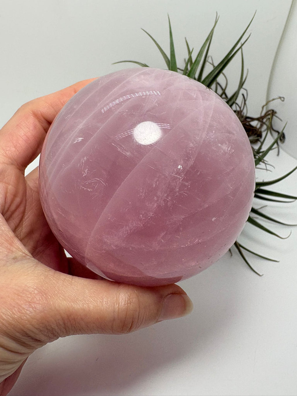 Gran esfera de cuarzo rosa natural pulido