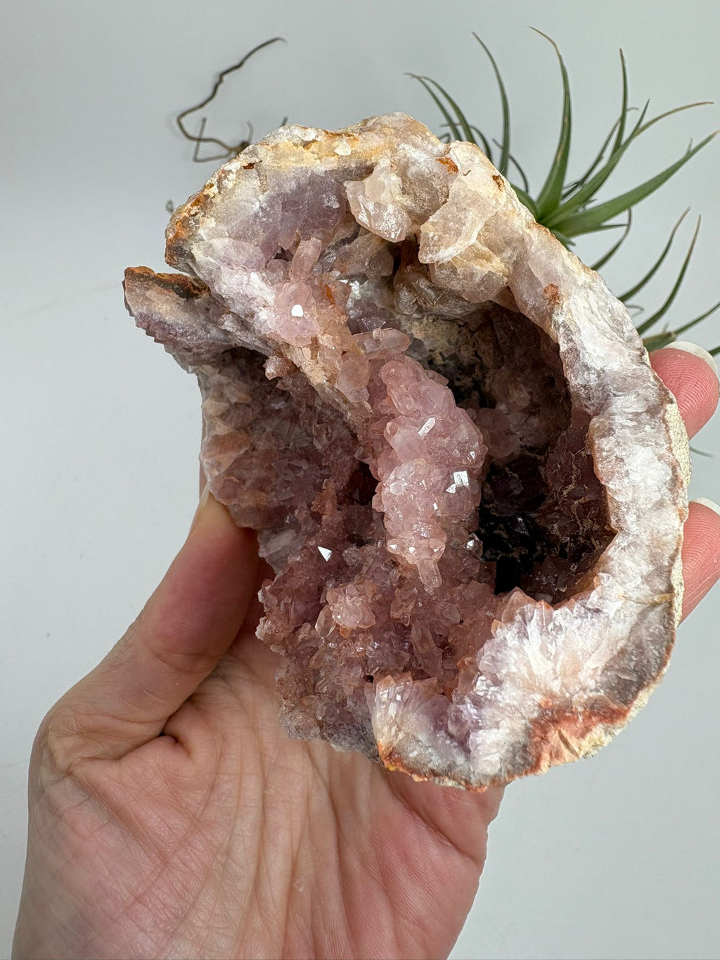 Geoda de amatista rosa de Argentina
