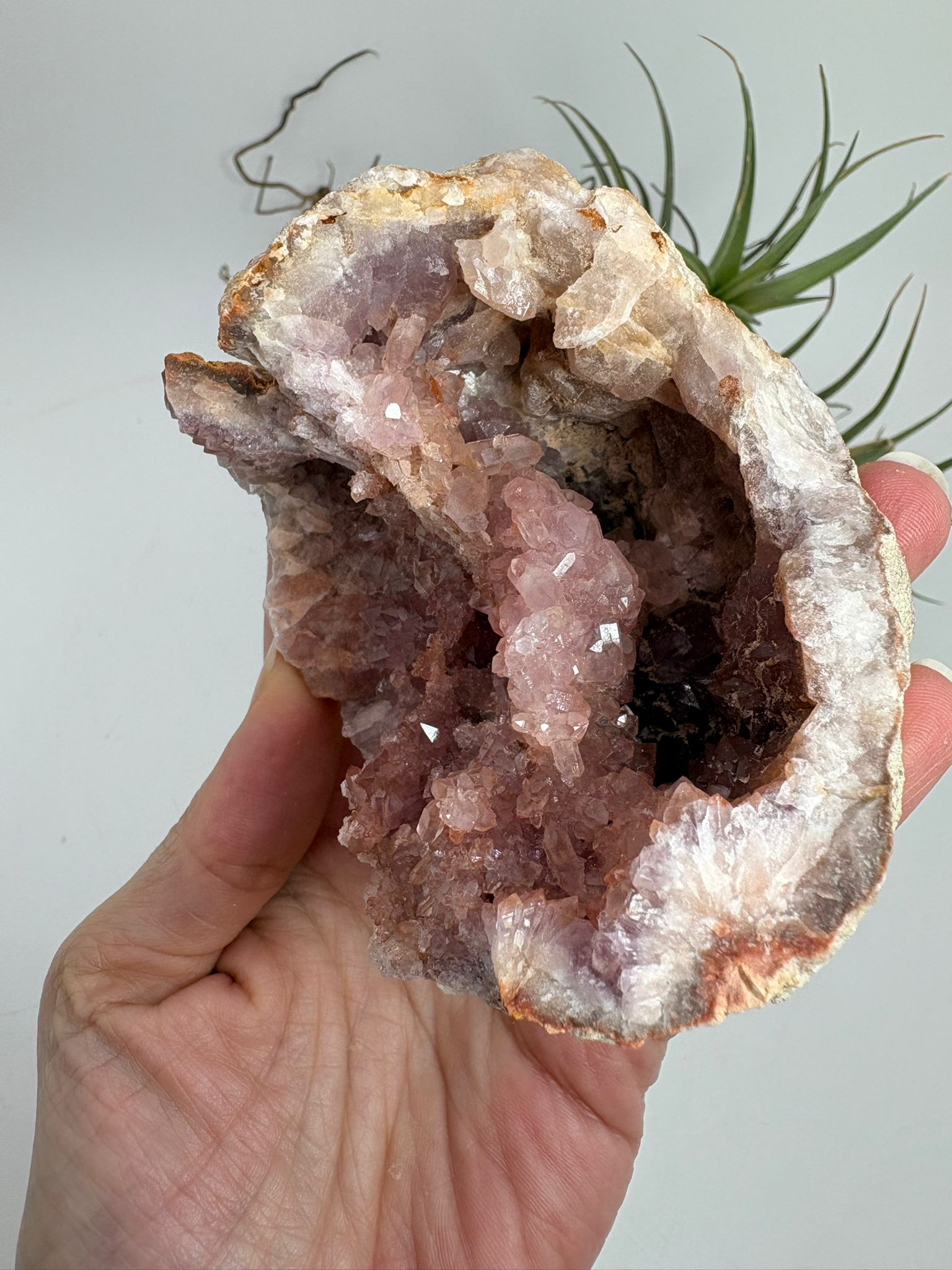 Geoda de amatista rosa de Argentina
