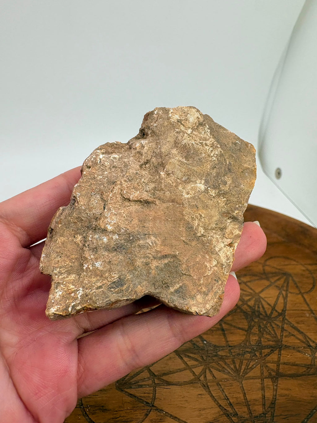 Xilópalo Natural Pulido – Madera Fosilizada