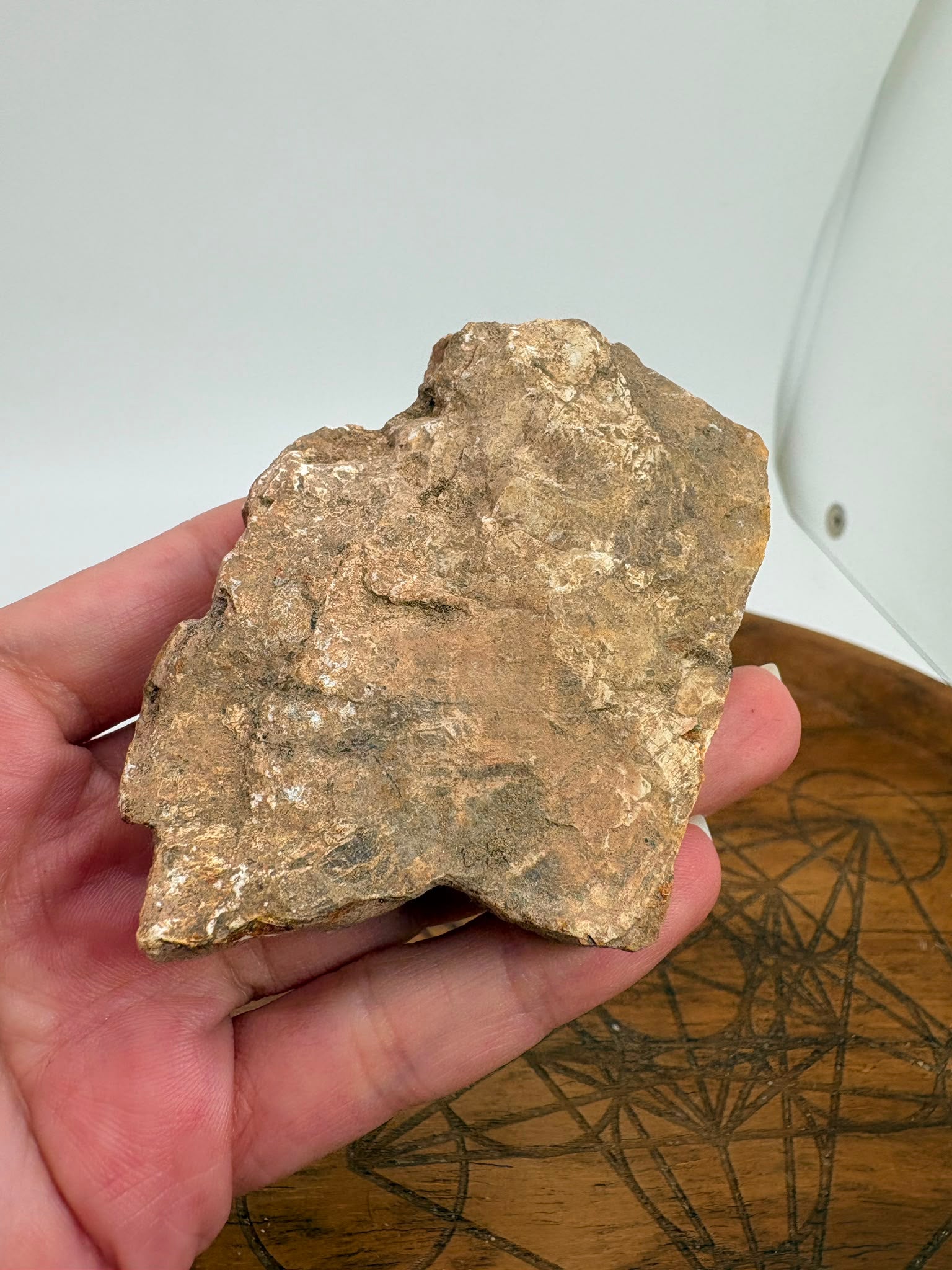 Xilópalo Natural Pulido – Madera Fosilizada