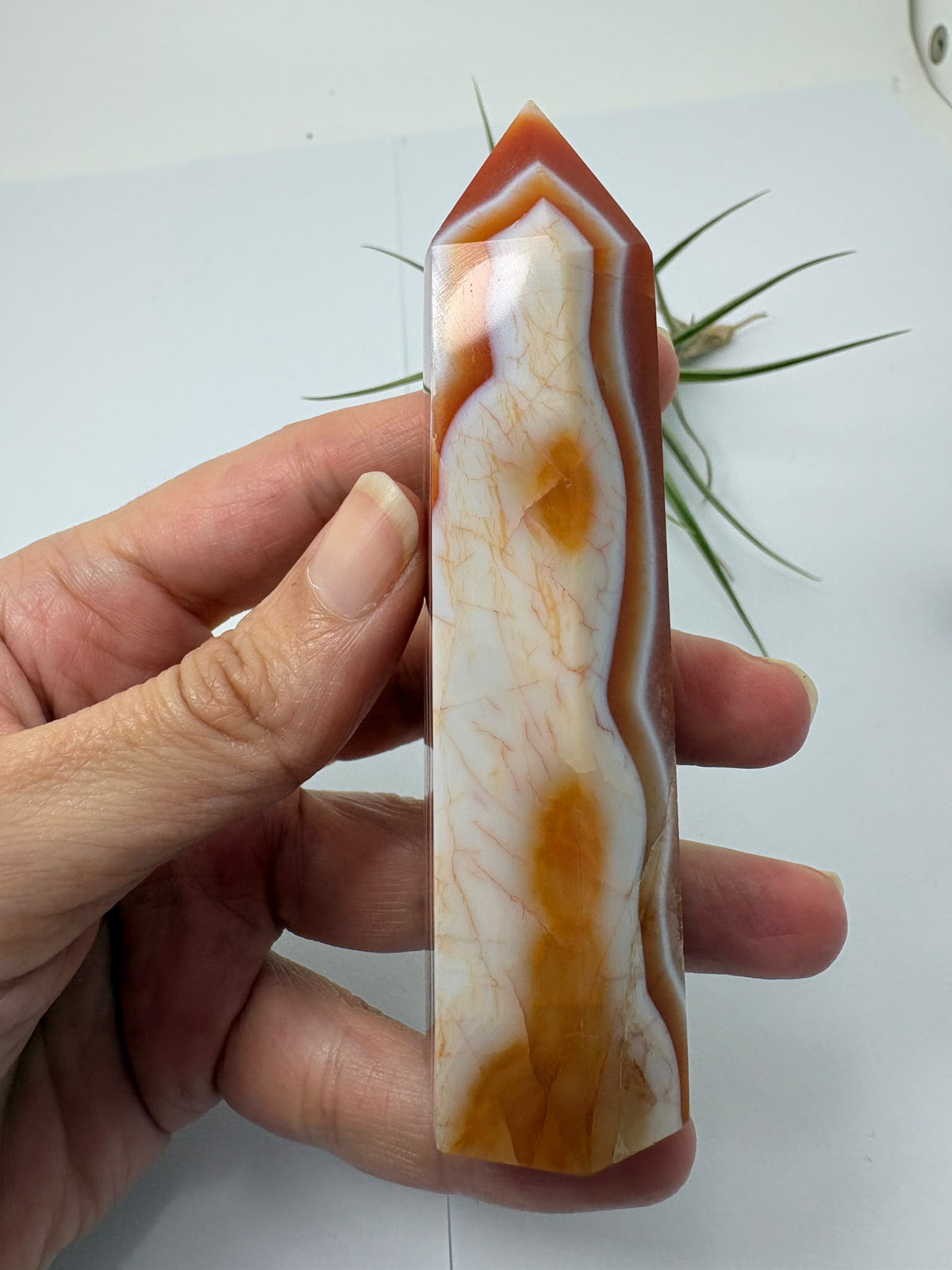 Puntas de ágata cornalina bandeada - foto 3