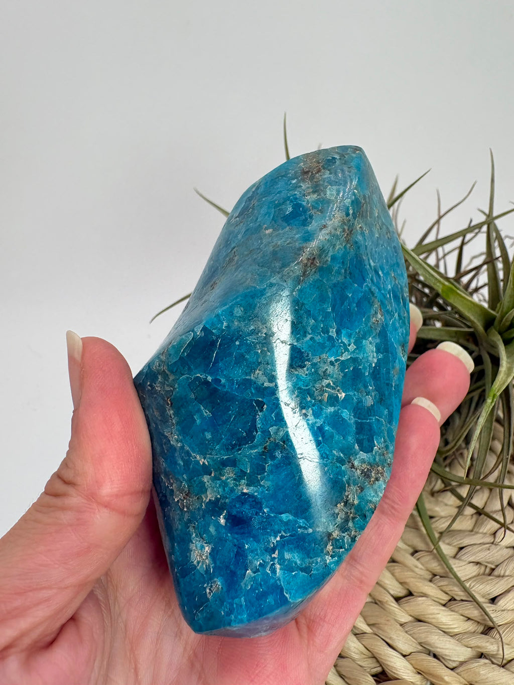 Llama de apatito azul