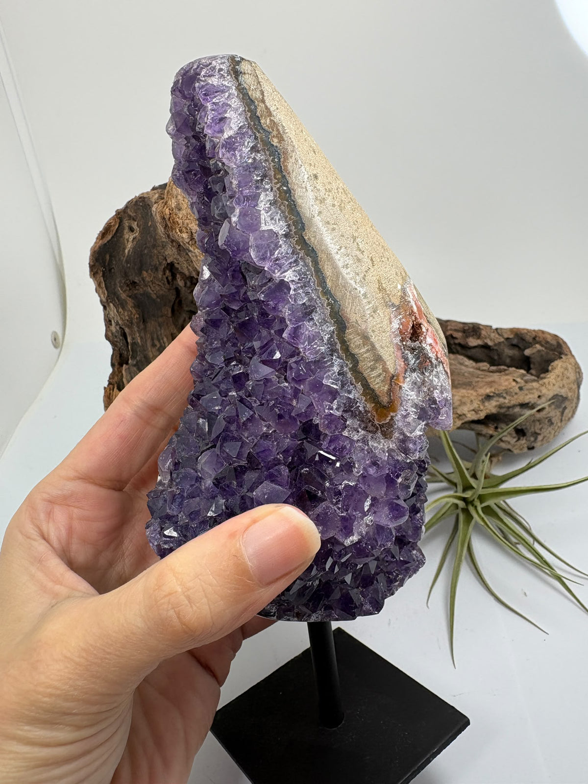 Amatista de Uruguay con base metálica - foto 7