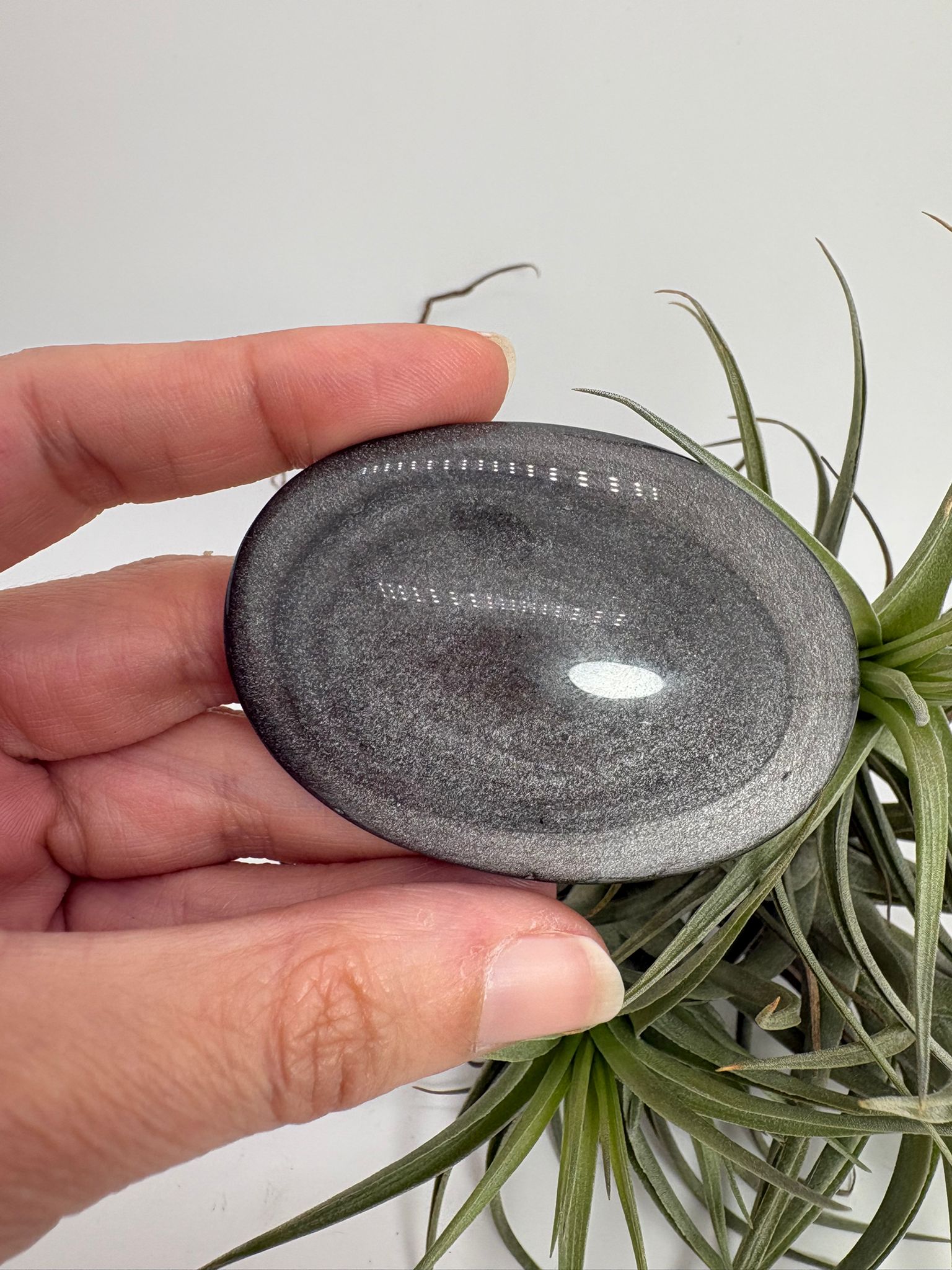 Palmstone obsidiana plateada