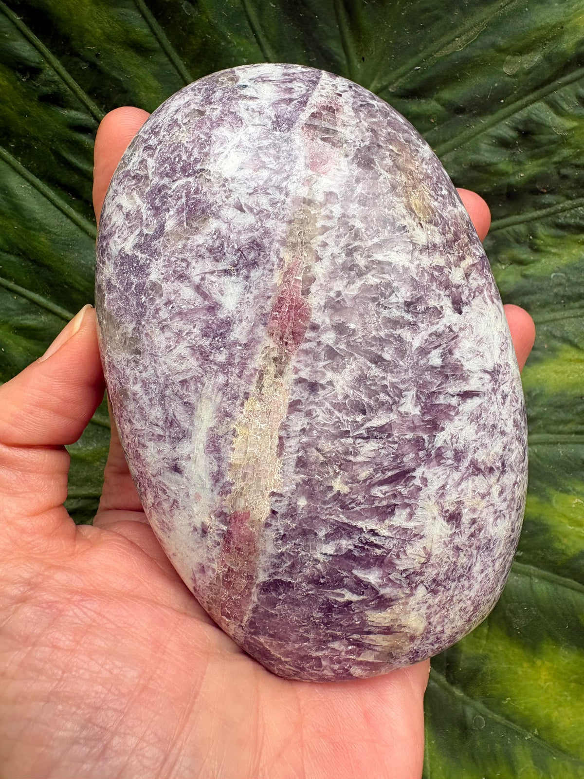 Monolito de piedra de unicornio - foto 2