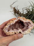 Geoda de amatista rosa de Argentina