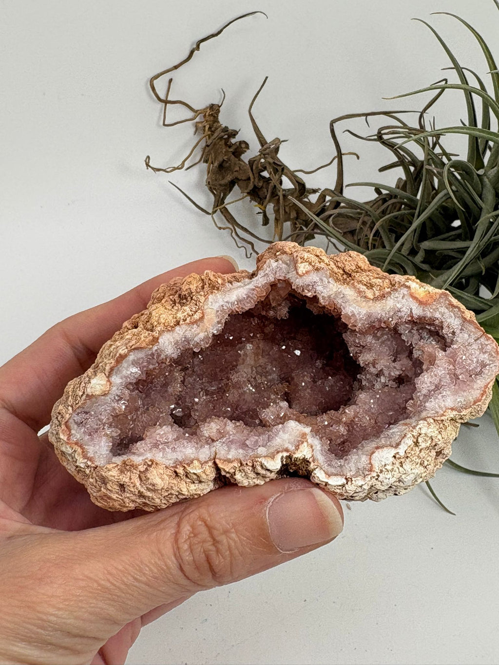 Geoda de amatista rosa de Argentina