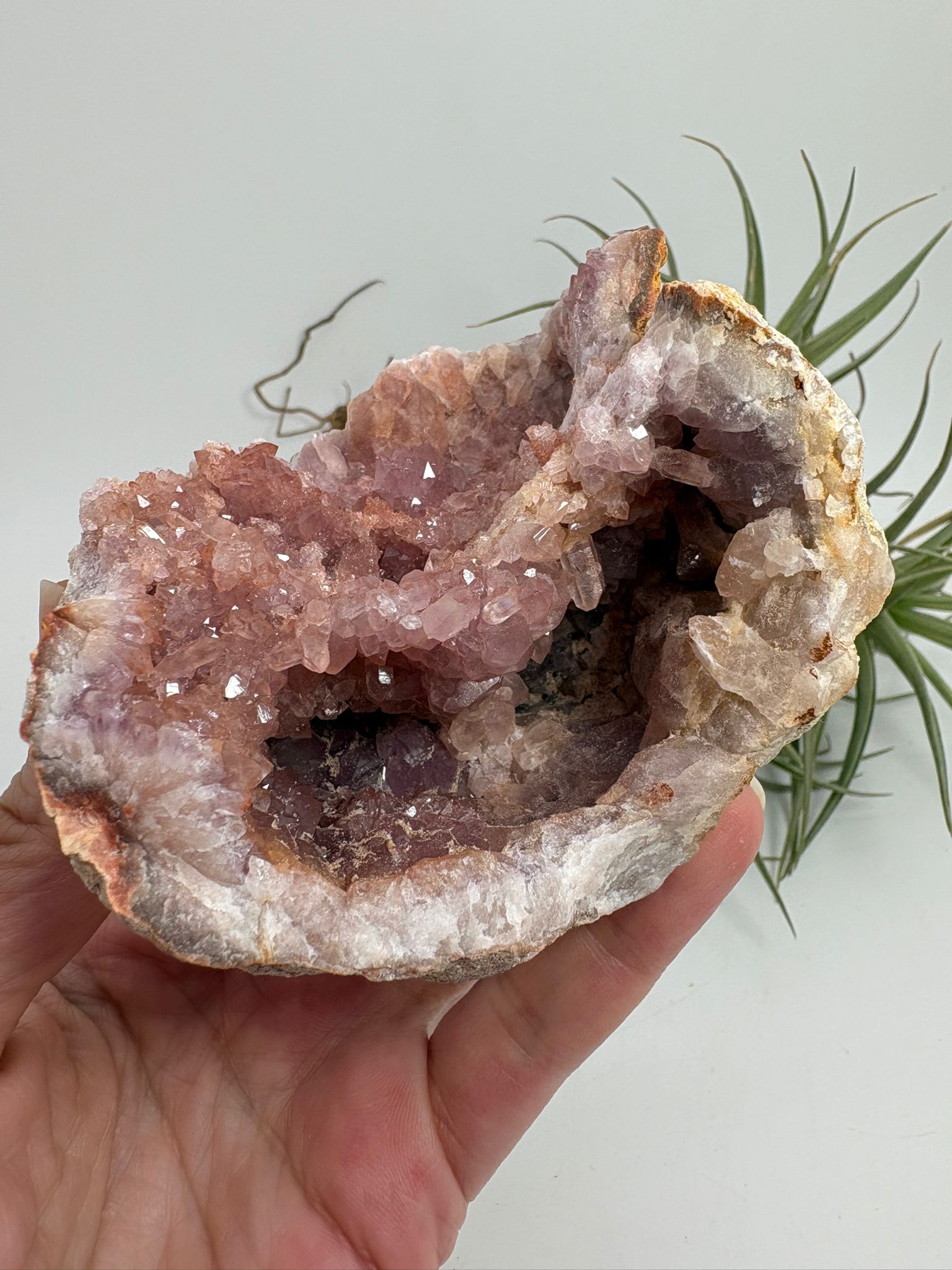 Geoda de amatista rosa de Argentina