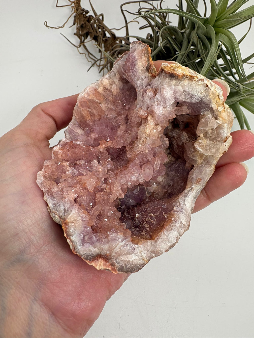 Geoda de amatista rosa de Argentina