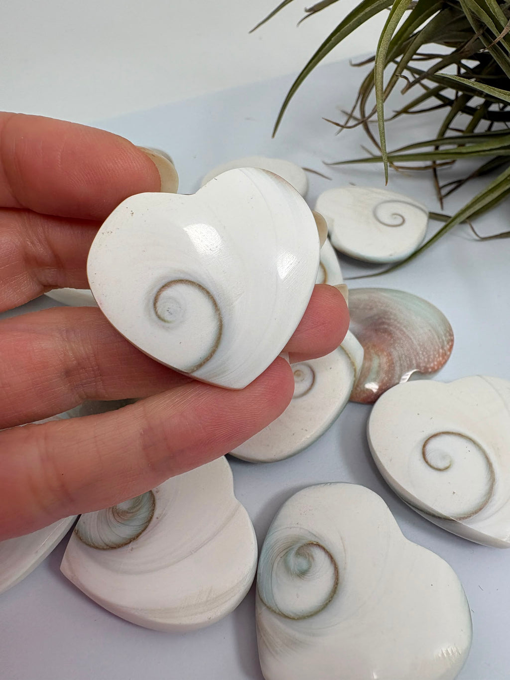 Corazón ojo de shiva natural
