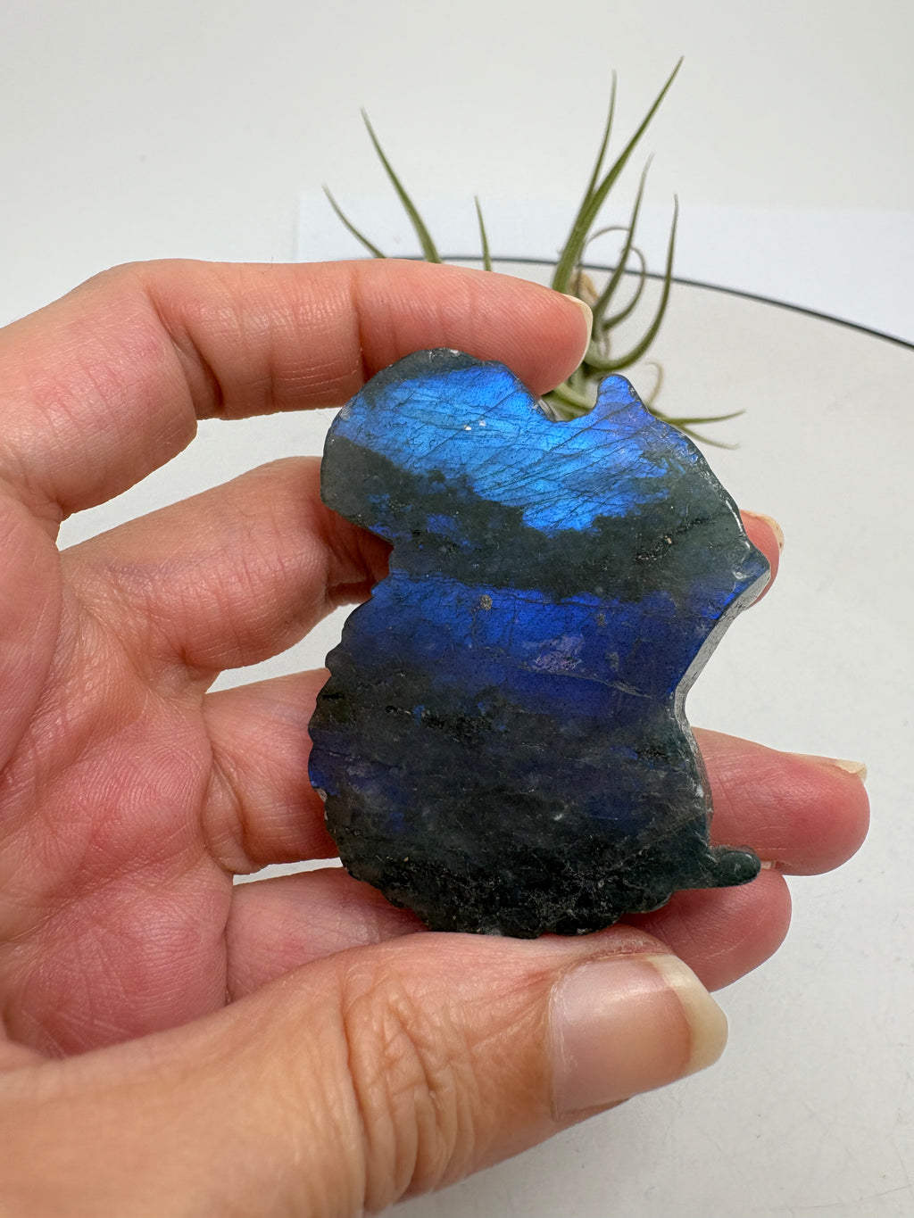 Ardilla de labradorita azul tallada a mano - foto 3